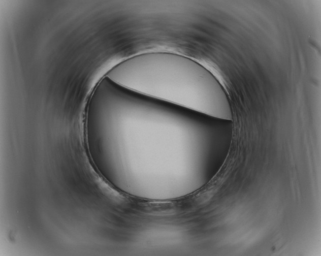 X0000091641151200708230943