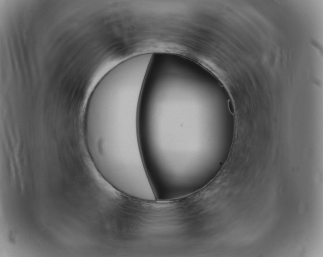 X0000091641152200708230943