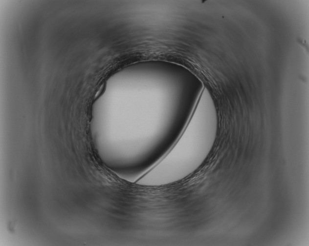 X0000091641153200708230942