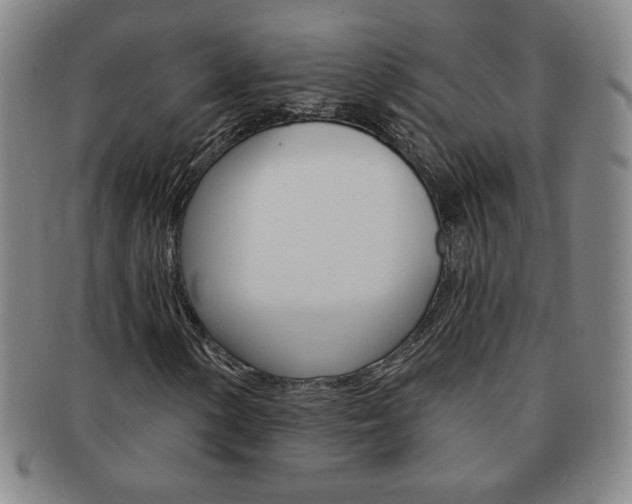 X0000091641154200708230942