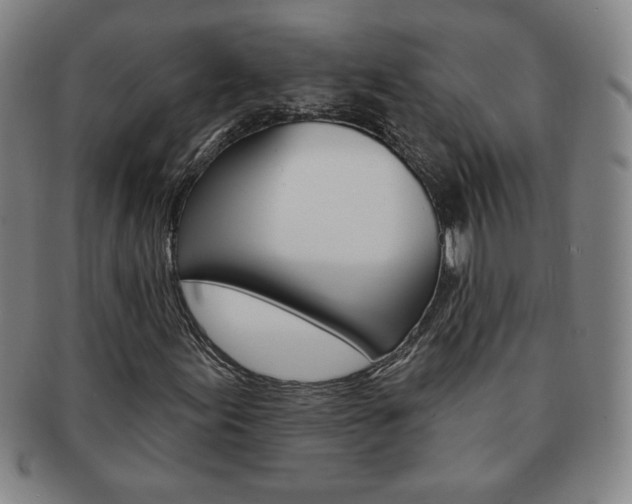 X0000091641155200708230942