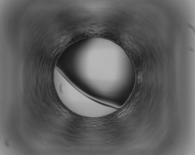 X0000091641156200708230942