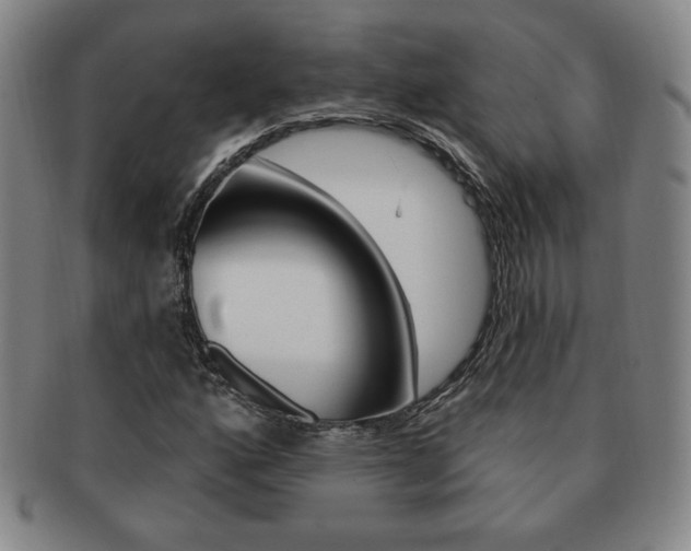 X0000091641160200708230942