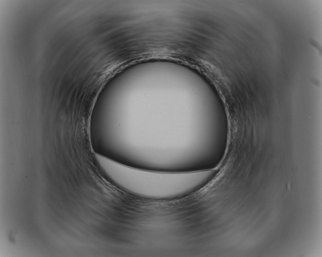 X0000091641161200708230942