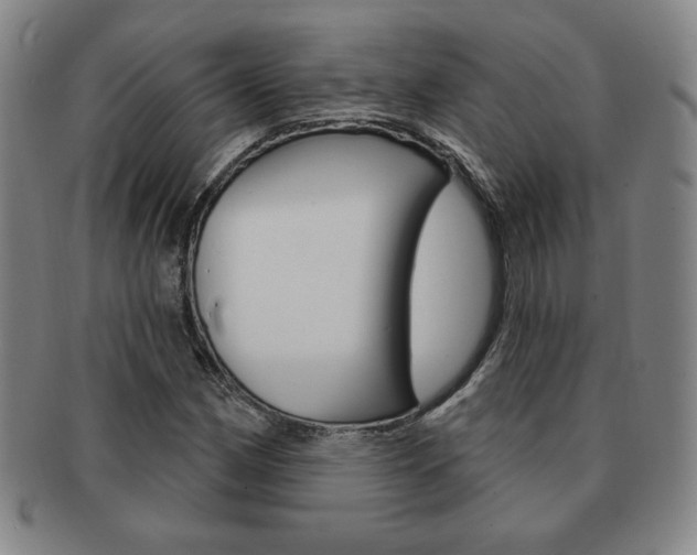 X0000091641162200708230942