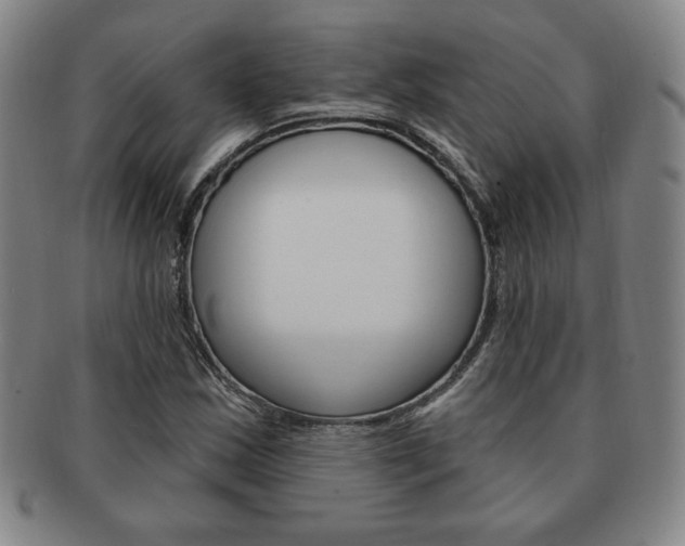 X0000091641163200708230942
