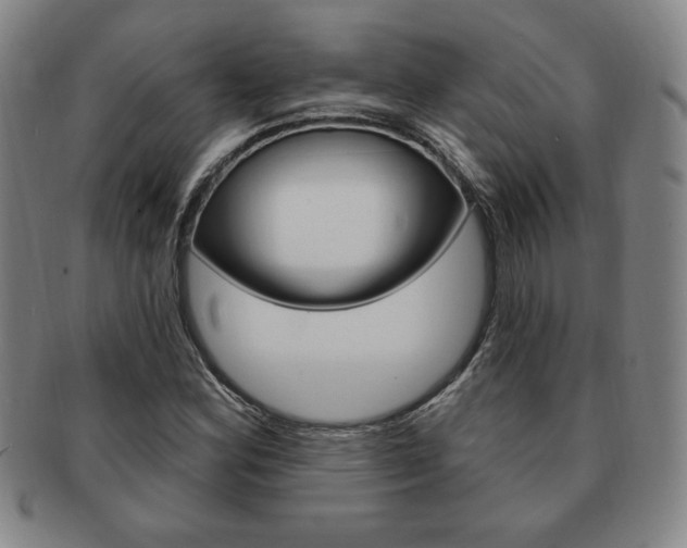 X0000091641164200708230942