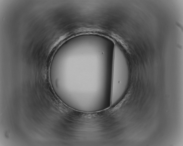 X0000091641165200708230942