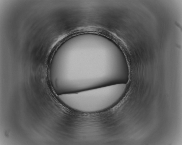 X0000091641166200708230942