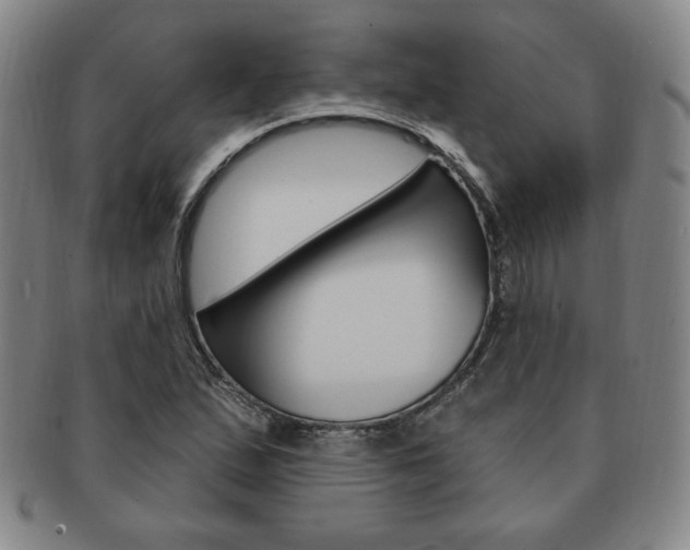 X0000091641167200708230942