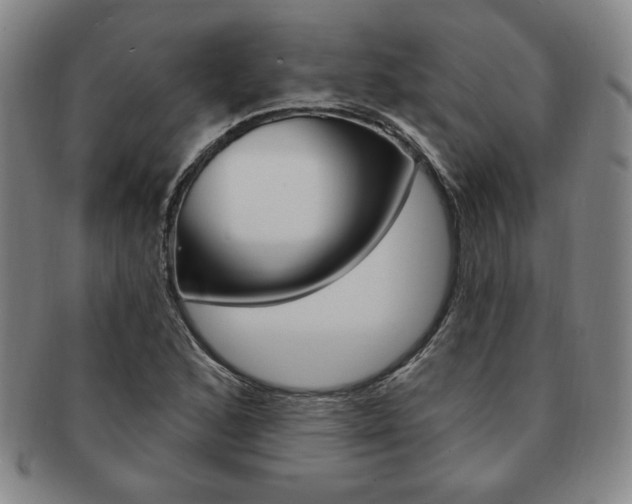 X0000091641168200708230942
