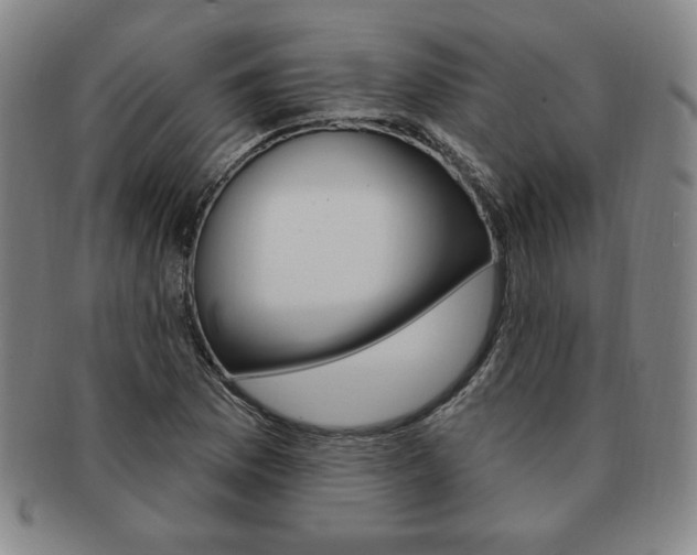 X0000091641169200708230942