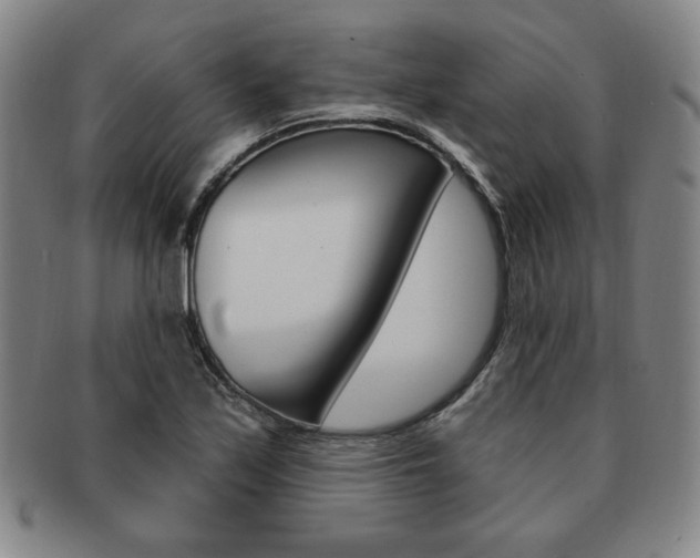 X0000091641171200708230942