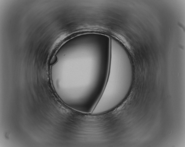 X0000091641172200708230942