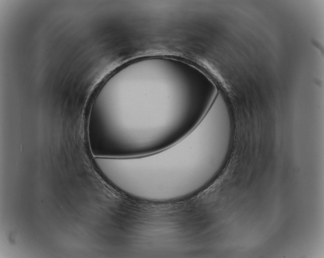 X0000091641173200708230941