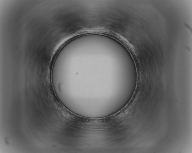 X0000091641174200708230941