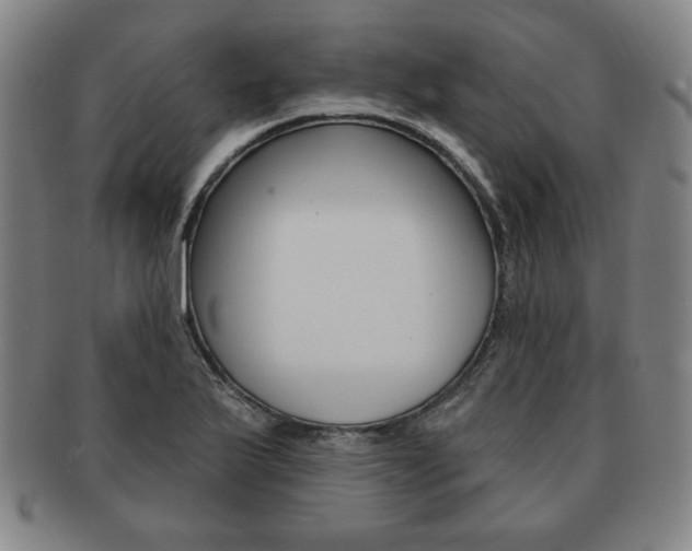 X0000091641175200708230941