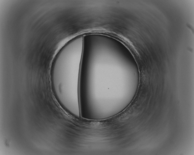 X0000091641176200708230941