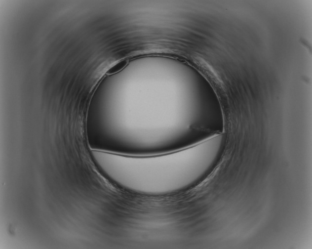 X0000091641177200708230941