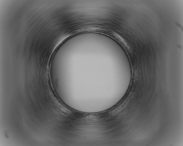 X0000091641178200708230941