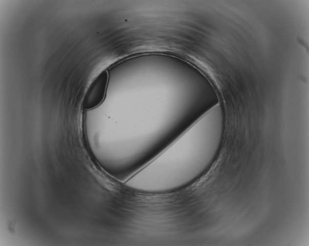 X0000091641179200708230941