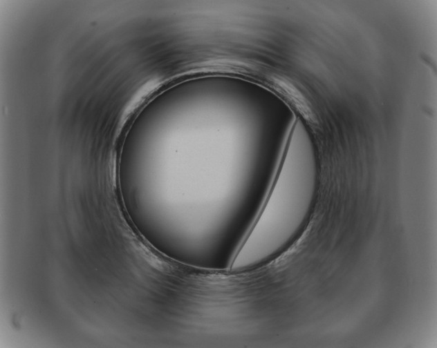 X0000091641180200708230941