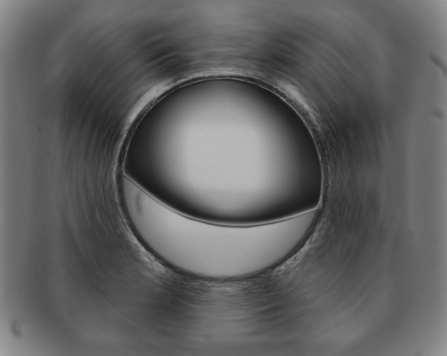 X0000091641181200708230941