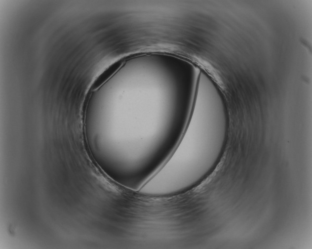 X0000091641184200708230941