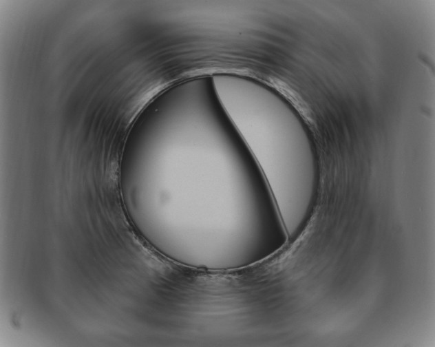 X0000091641185200708230941