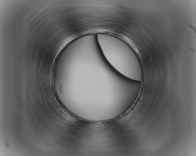 X0000091641186200708230941