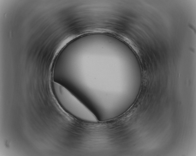 X0000091641187200708230941