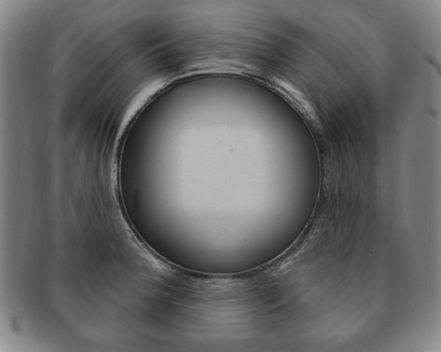 X0000091641188200708230941