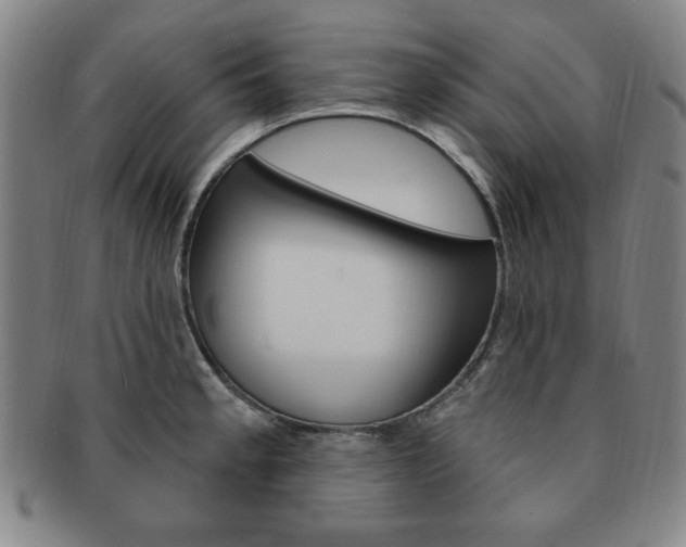 X0000091641189200708230941
