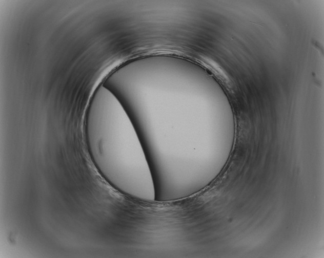 X0000091641190200708230941