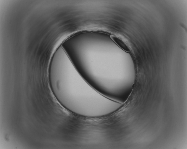X0000091641191200708230941
