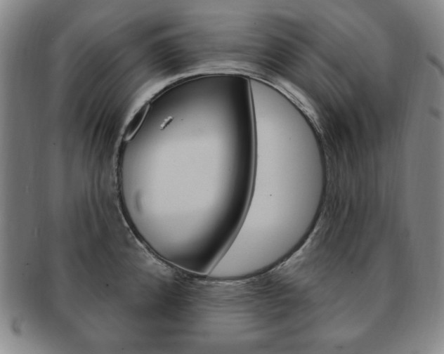 X0000091641192200708230941