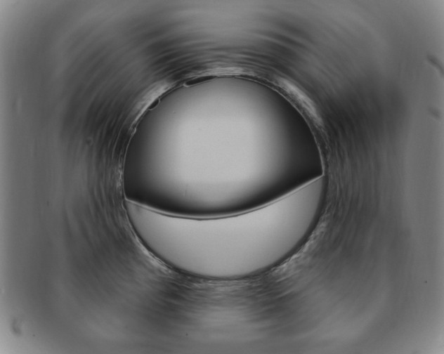 X0000091641193200708230941