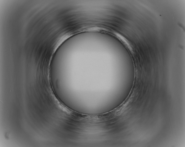 X0000091641194200708230941