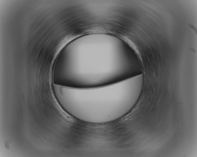 X0000091641195200708230941