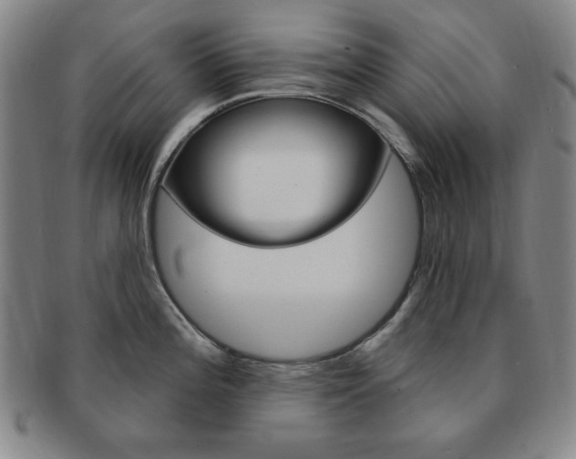 X0000091641196200708230941