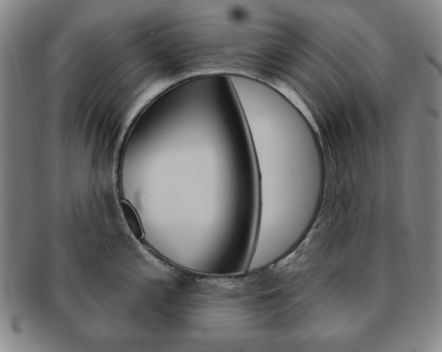 X0000091641197200708230941