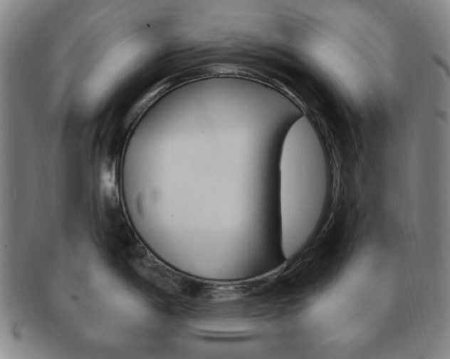 X0000091641198200708230941
