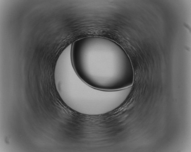 X0000091641202200708230940