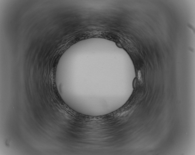 X0000091641203200708230940