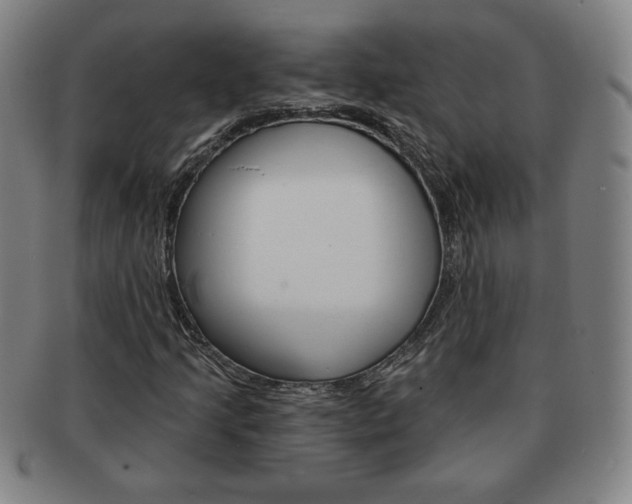 X0000091641205200708230940
