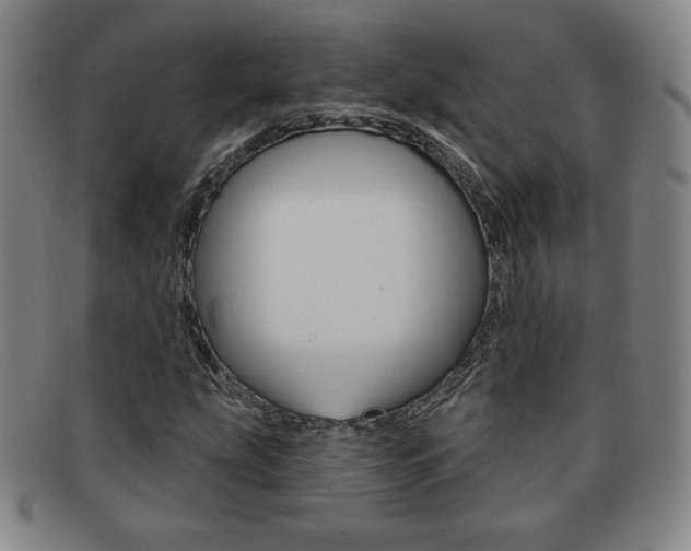 X0000091641207200708230940
