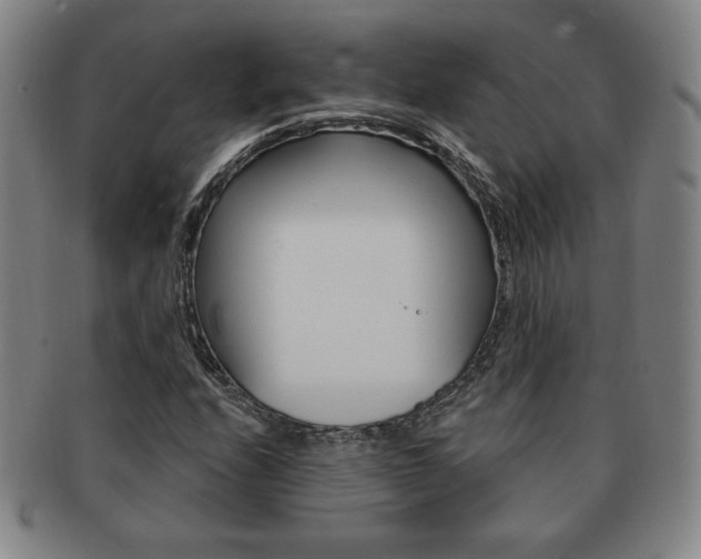 X0000091641208200708230940