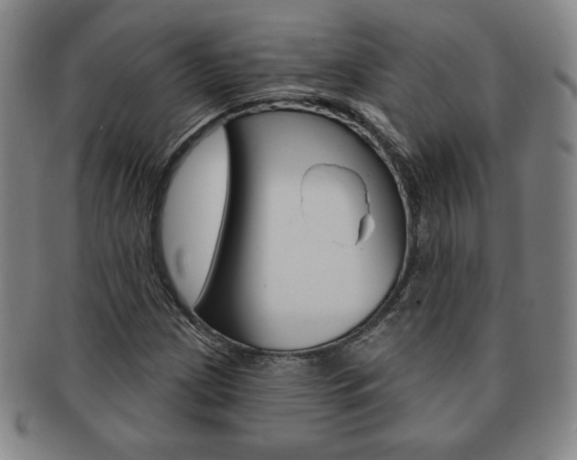 X0000091641209200708230940