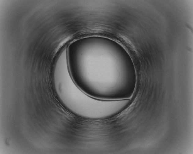 X0000091641210200708230940