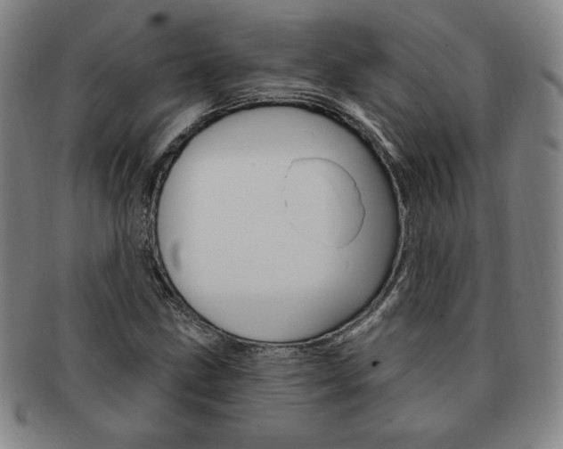 X0000091641211200708230940